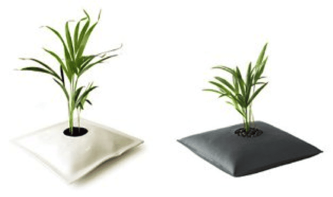 Almohadas de jardín